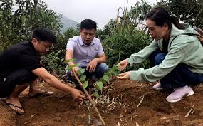 Khoa học - công nghệ góp phần nâng giá trị nông phẩm Yên Bái